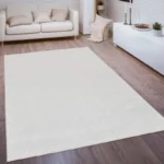 Polypropylene Rug
