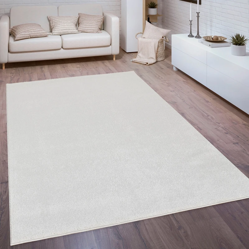 Polypropylene Rug